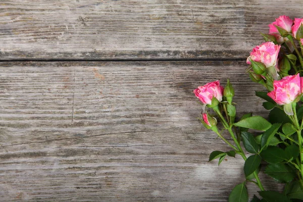 Rosas rosadas sobre un fondo de madera. — Foto de Stock