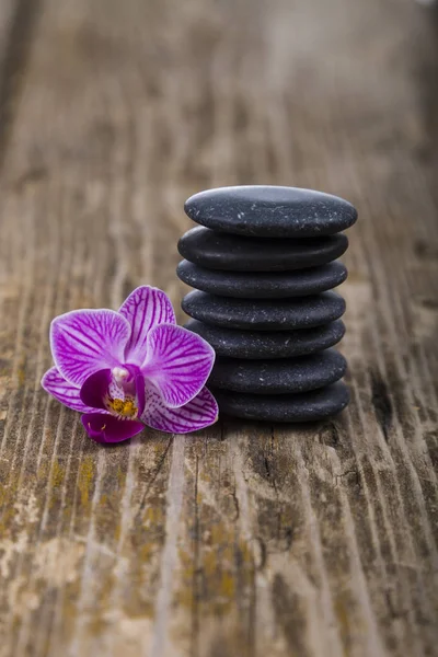 Wellness-Behandlungen auf Holzgrund — Stockfoto