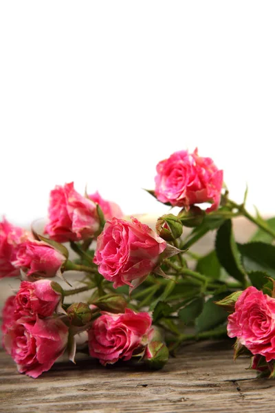 Vaaleanpunaisia ruusuja valkoisella pohjalla. — kuvapankkivalokuva