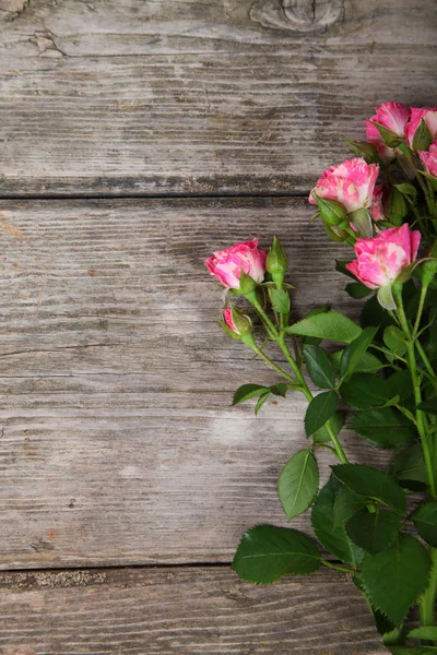Pink roses on a wooden background. — Stock Photo, Image