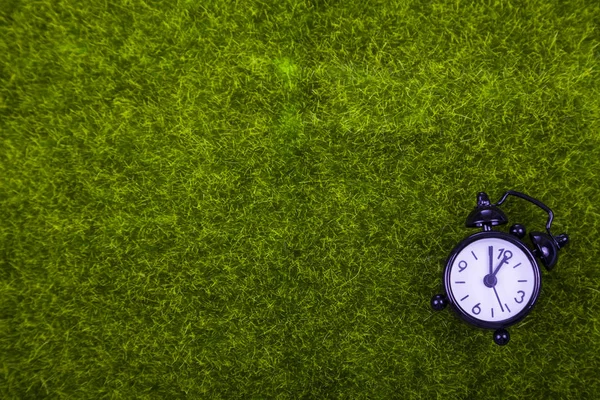 Alarm clock on green grass — Stock Photo, Image