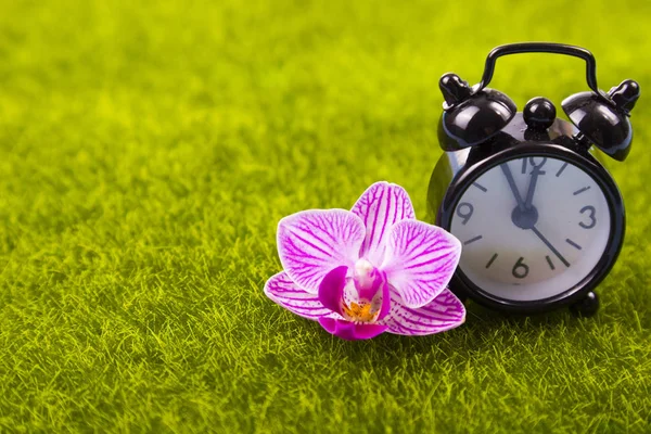 Relógio de alarme e orquídea rosa na grama verde — Fotografia de Stock