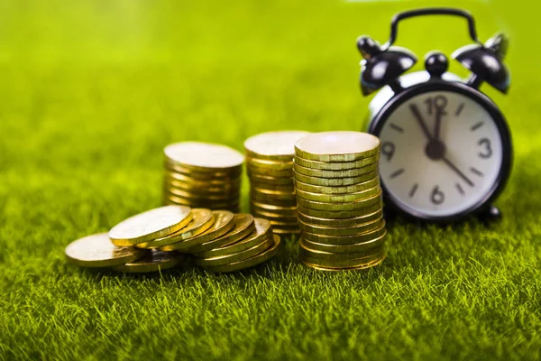 Çalar saat ve sikkeler çimenlerin üzerinde.