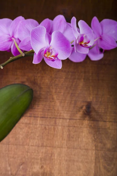 Orchideje (Phalaenopsis) na dřevěný stůl — Stock fotografie