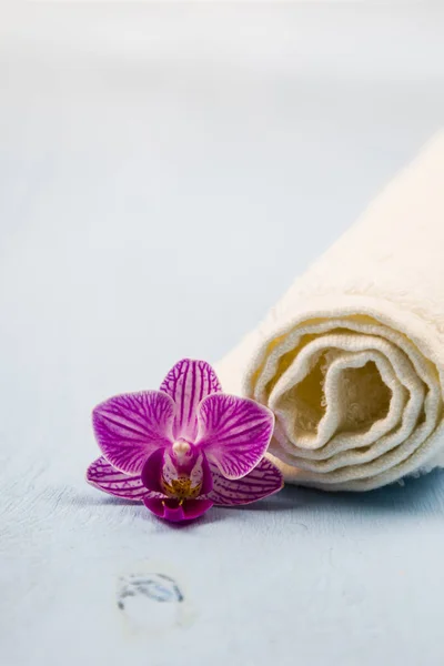 Modré a bílé ručníky a orchidej květina. — Stock fotografie