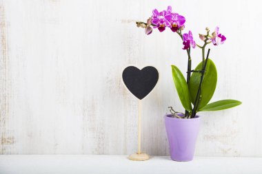 Orkide (Phalaenopsis) ve kalp  