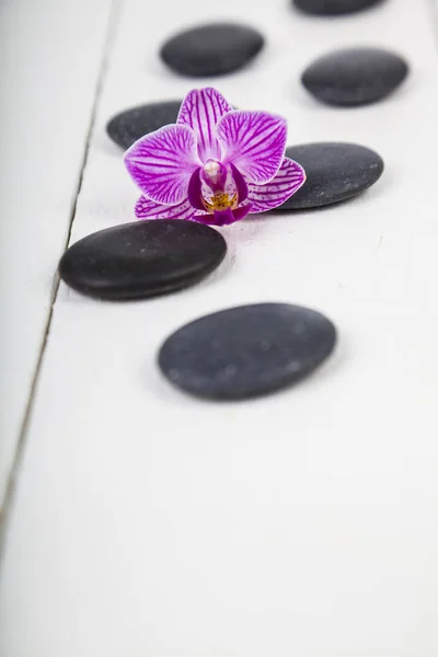 Спа-камни и орхидея крупным планом . — стоковое фото