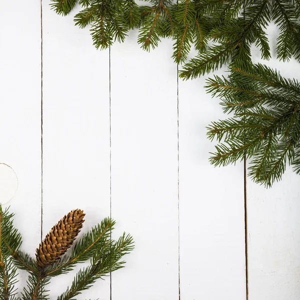 白い木製の背景上のモミの枝. — ストック写真