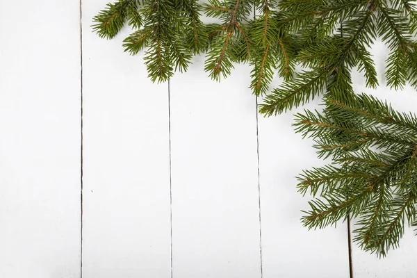 Fir branches on a white wooden background. — Stock Photo, Image