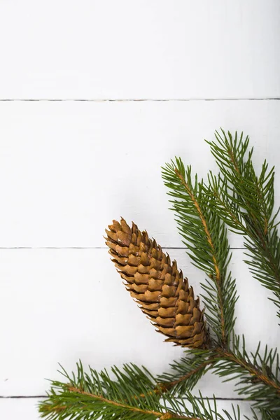 Tannenzweige auf weißem Holzgrund. — Stockfoto