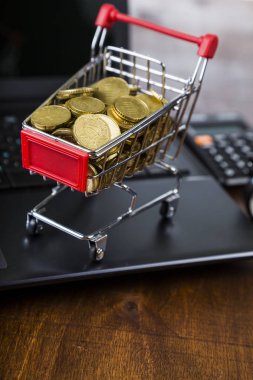 Bir dizüstü bilgisayarda paralar ile alışveriş arabası 