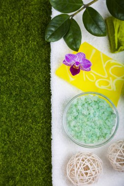 Spa uygulamaları yeşil çimenlerin üzerinde