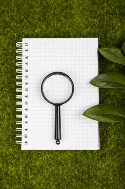 Defter,, Büyüteç ve yeşil yaprakları 