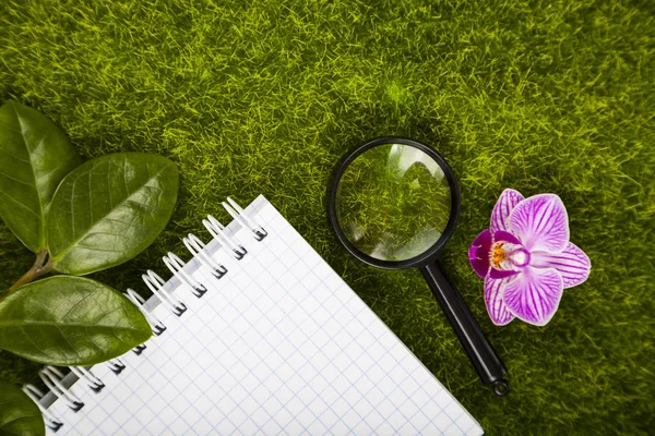Cuaderno, lupa, orquídea y hojas verdes — Foto de Stock