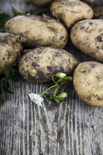 Πρώτων πατάτες με φύλλα και λουλούδια — Φωτογραφία Αρχείου