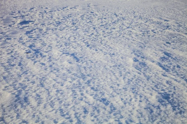 Snow-covered field close-up — Stock Photo, Image