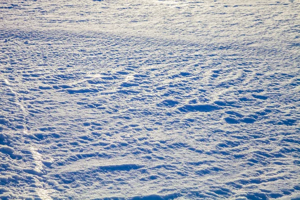 Verschneites Feld aus nächster Nähe — Stockfoto