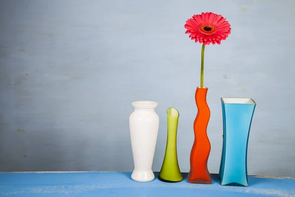 Разноцветные вазы и розовая гербера — стоковое фото