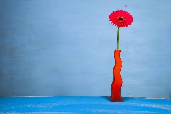 Pink gerbera in an orange vase — Stock Photo, Image