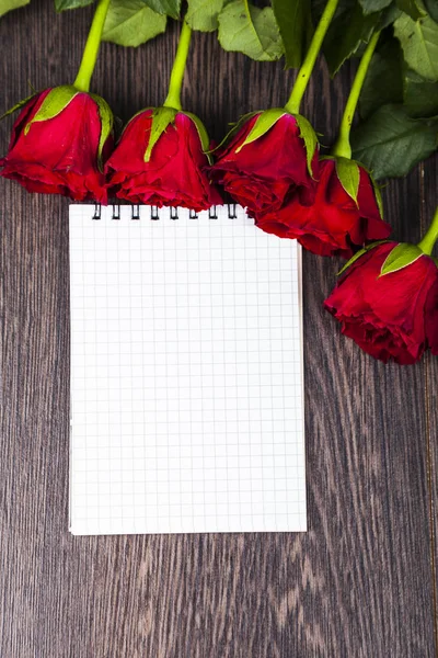 Red roses and card — Stock Photo, Image