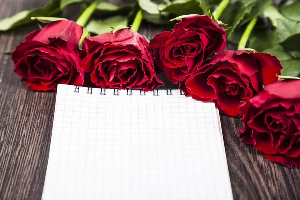 Червоні троянди і листівки — стокове фото