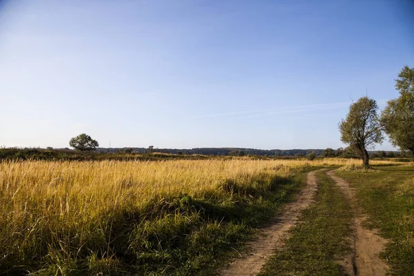 Weg zur Wiese — Stockfoto