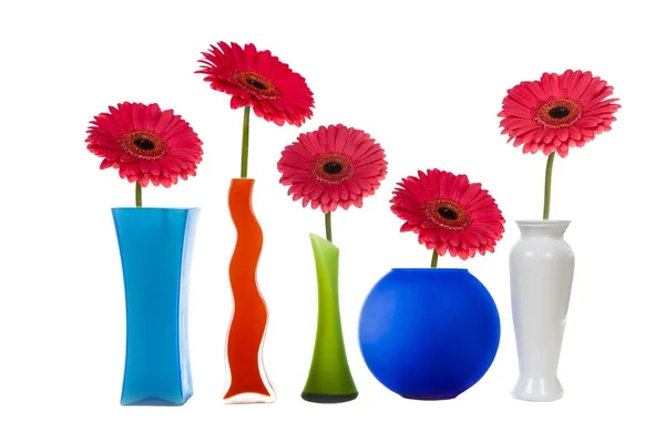 Vasos multicoloridos e gerberas rosa — Fotografia de Stock