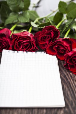 Kırmızı gül ve kart 