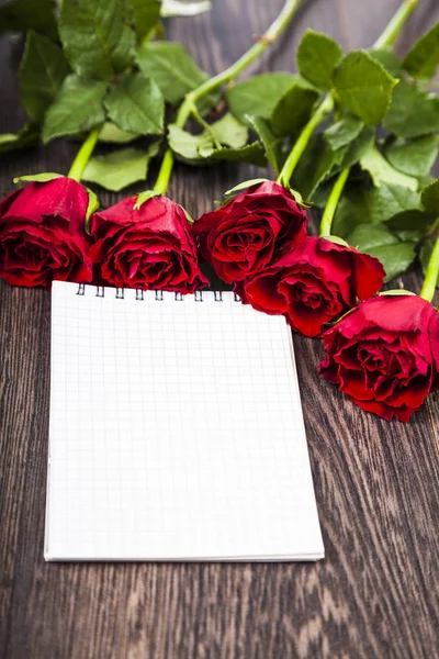 Red roses and card — Stock Photo, Image