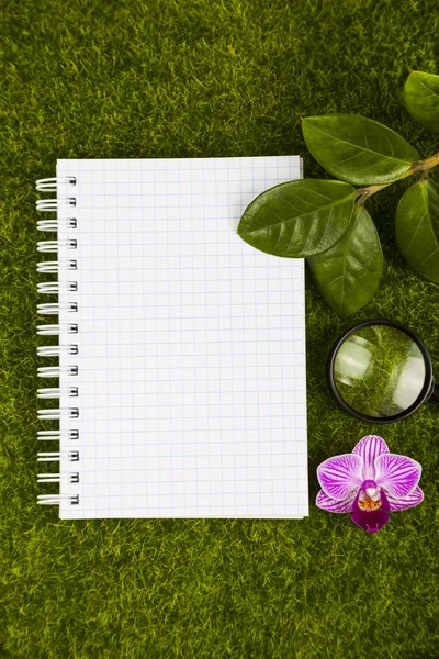 Quaderno, lente d'ingrandimento, orchidea e foglie verdi — Foto Stock