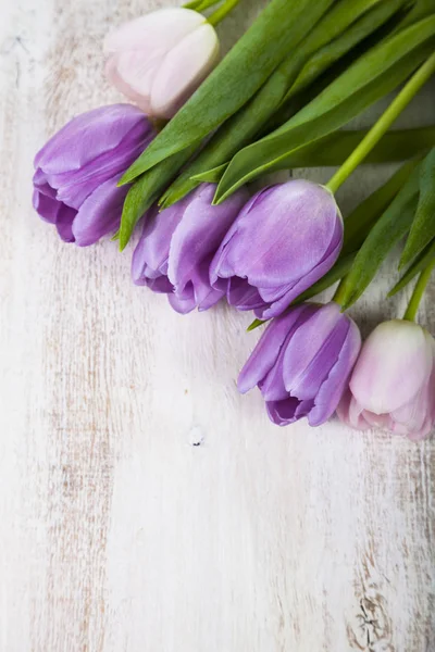 Bouquet de tulipes lilas — Photo