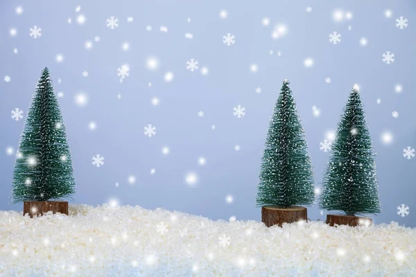 Τρία χριστουγεννιάτικα δέντρα στο χιόνι — Φωτογραφία Αρχείου