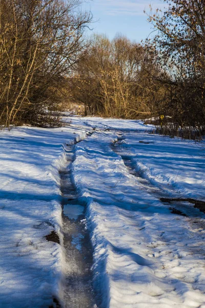 Mooi landschap. Vroege voorjaar. — Stockfoto