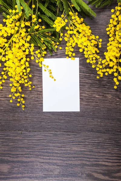 Mimosa y papel sobre fondo de madera . — Foto de Stock