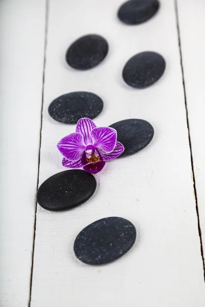 Pedras de spa e orquídea close-up . — Fotografia de Stock