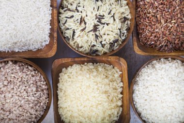 Pirinç farklı çeşitleri ile altı yuvarlak kase