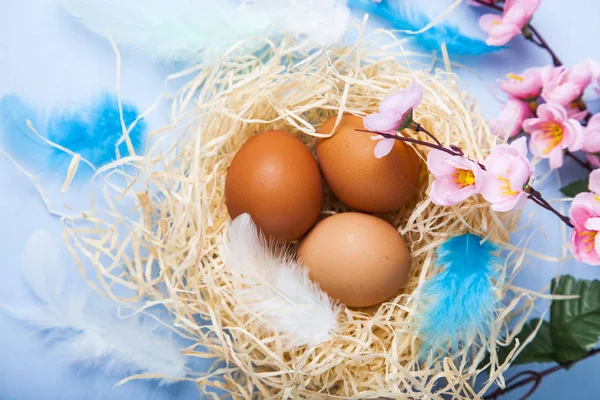 Oeufs de Pâques dans le nid — Photo