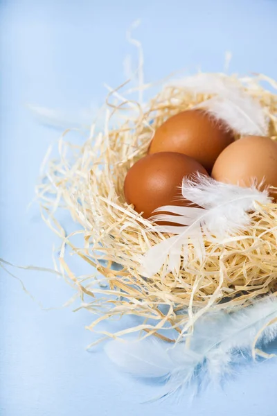 Huevos de Pascua en el nido — Foto de Stock