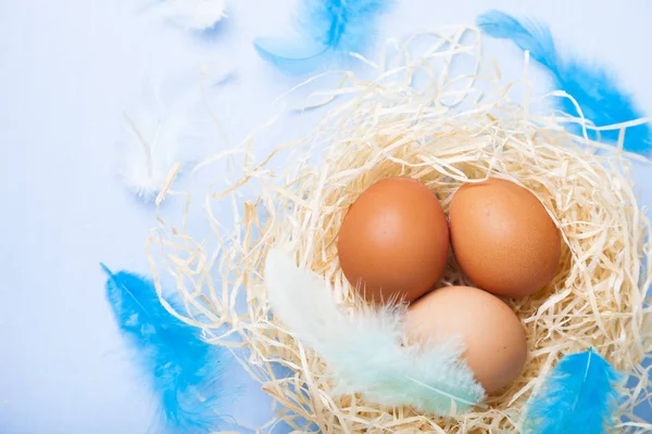 Påsk Stilleben med nest — Stockfoto