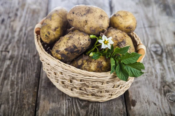 Πρώτων πατάτες με φύλλα και λουλούδια σε καλάθι — Φωτογραφία Αρχείου