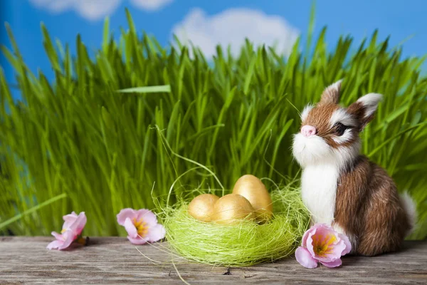 Easter greeting card. — Stock Photo, Image