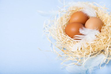 Yuvadaki paskalya yumurtaları 