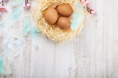 Yuvadaki paskalya yumurtaları 