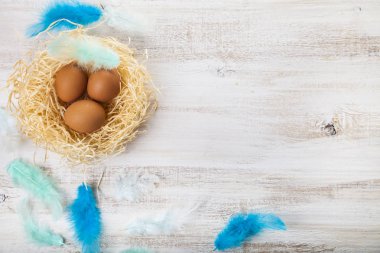 Yuvadaki paskalya yumurtaları 