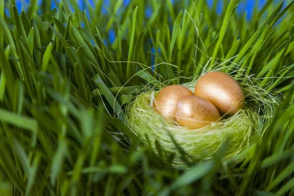 Nest met gouden eieren — Stockfoto