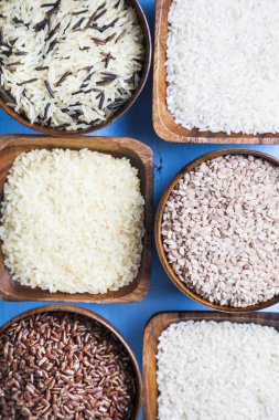 Pirinç farklı çeşitleri ile altı yuvarlak kase