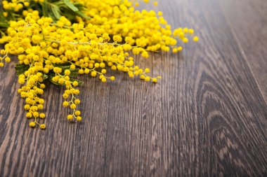 Ahşap bir zemin üzerine sarı Mimoza.