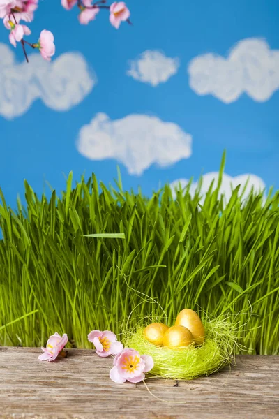 Гнездо с золотыми яйцами — стоковое фото