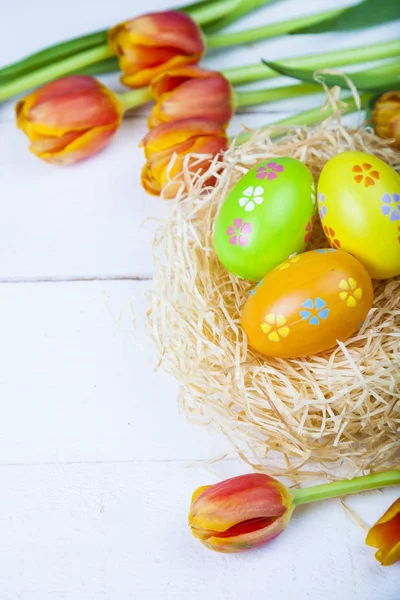 Пасхальні яйця в гнізді і тюльпани — стокове фото
