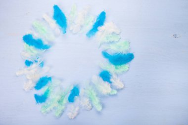 Tüy rengi ahşap arka plan üzerinde.